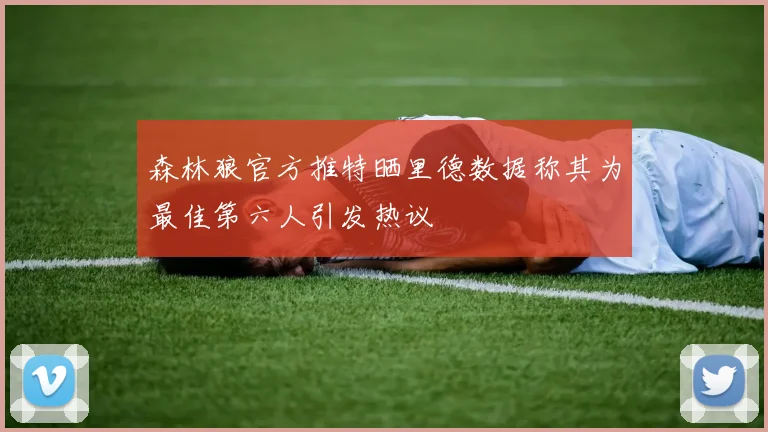 森林狼官方推特晒里德数据称其为最佳第六人引发热议